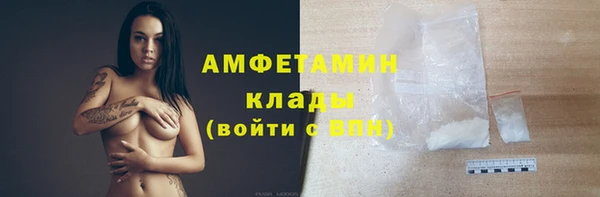 амф Алексин