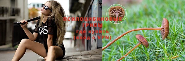 амф Алексин
