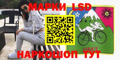 крисы Берёзовский