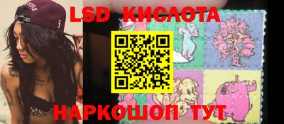 крисы Берёзовский