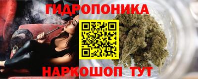 крисы Берёзовский