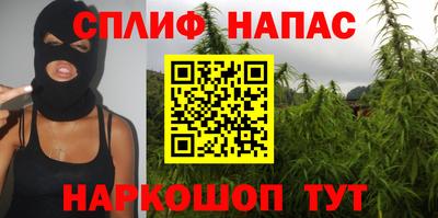 не бодяженный Бийск