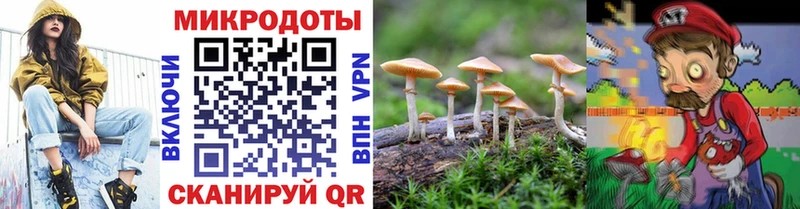 МЕГА ссылка  Гуково  Псилоцибиновые грибы мухоморы  купить наркотик 